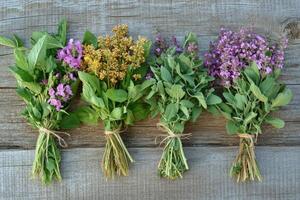 Freshly picked bunches of herbs lying on rustic wooden table photo