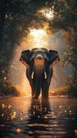 Majestic elephant cooling down in a river at sunset in the jungle photo