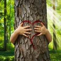 Childs hands hug tree trunk, red heart imprint, peaceful forest sunlight For Social Media Post Size photo