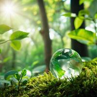 Glass globe rests on moss, sunlight filters through forest canopy, tranquil Earth scene For Social Media Post Size photo