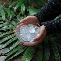 Hands in dark sweater hold a bowl of ice cubes, surrounded by green leaves For Social Media Post Size photo
