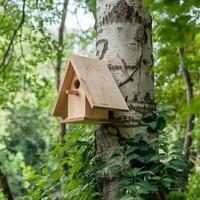 Wooden birdhouse on tree trunk, surrounded by lush greenery, suggesting nature For Social Media Post Size photo