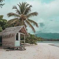 Thatched hut near palm tree, misty mountains, serene tropical beach setting For Social Media Post Size photo