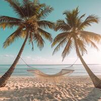 Palm trees frame hammock on sandy beach, serene ocean invites relaxation For Social Media Post Size photo