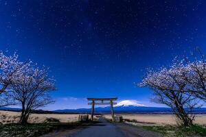 Serene Japanese Torii Gate Standing Amidst Tranquil Landscape photo
