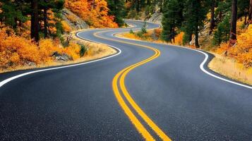 Captivating Winding Autumn Road Through Vibrant Forest Landscape photo
