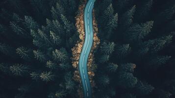 Scenic Aerial View of Winding Mountain Road Cutting Through Lush Autumn Forest Landscape photo