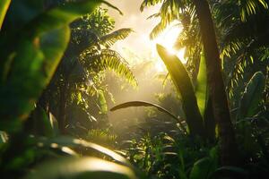 Lush Tropical Jungle With Sunlight Beams Shining Through Vibrant Foliage photo