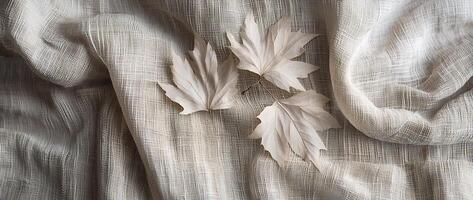 Sheer Monochrome Fabric Draped with Delicate Floral Botanical Leaves photo