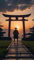 A man in a hat stands in front of a tori gate at sunset photo