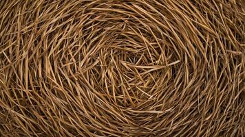A close up of a hay bale photo