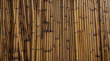 A close up of a bamboo wall with many different types of bamboo photo