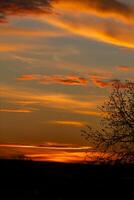 Vibrant sunset with colorful clouds and silhouetted tree branches photo