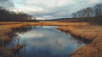 Serene Autumn Wetland Landscape Cloudy Sky, Still Water Reflection photo