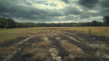 A flat, muddy field with tire tracks leading towards a tree line under a dramatic, overcast sky photo