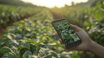 Precision Agriculture Smartphone Technology in Modern Farming Fields photo