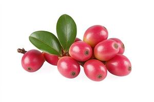 Fresh Red Carissa Carandas Berries with Green Leaves Isolated on White Background photo