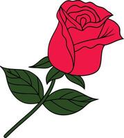 Red rose bud art illustration on a white background vector