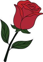 Red rose design illustration on a white background vector