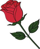 Red rose bud illustration on a white background vector