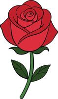 Red rose bud art illustration isolate on a white background vector