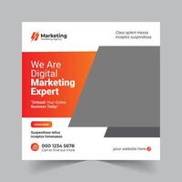 Ready-to-Use Templates for Professional Business Posts vector