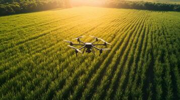 A drone flies over a lush green field at sunset, demonstrating advanced agricultural practices. This technology supports sustainable finance initiatives by enhancing crop management and monitoring. photo