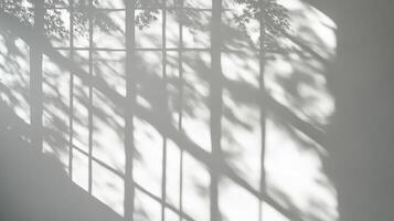 Soft shadows of tree branches on sunlit wall with window frame patterns photo
