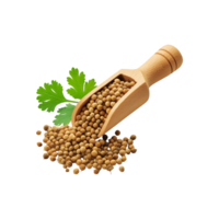 Fresh Coriander seed in a wooden scoop on transparent background png
