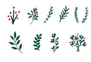 Set of winter leaf and berries illustration for Christmas design element. icon isolated on white background. vector