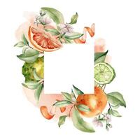 Mixed ripe citrus fruits and white flowers, watercolor splash isolated frame. Hand drawn grapefruit peel, tree branch and jasmine in botanical sketch for package aroma product, summer floral card. vector
