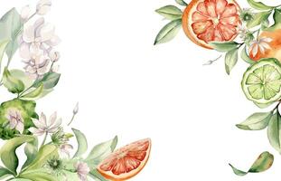 Half and whole grapefruit mixed jasmine flowers in watercolor isolated banner. Hand drawn bergamot citrus, branches fruit tree and flower botanical sketch for package, bright floral invitation. vector
