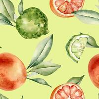 Grapefruit and bergamot citrus fruits with leaves watercolor seamless pattern isolated. Hand drawn summer plants with bright orange green peel in botanical sketch style for textile, package products. vector