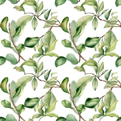 Leaves on branch fruit tree watercolor seamless pattern isolated on white. Foliage of citrus tree hand drawn. Bergamot , grapefruit plants in botanical sketch style. Assorted green leaf for print.