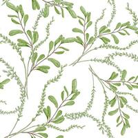 Botanical seamless pattern in pastel tone with leaves. Thin green stems with leaves watercolor background isolated. Plants arrangements hand drawn ornament print. Design for textile, package, paper. vector