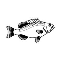 Solid color Fish Art Illustration, Fish Design isolated on a white background vector
