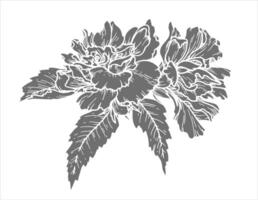 Silhouette botanical illustration of flowers with leaves. Hand-drawn floral element with a bush branch. Perfect for creating graphic resource in inversion style and packaging designs. vector