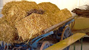 An old wooden cart with straw video