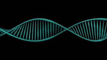 DNA rotates on the green screen video