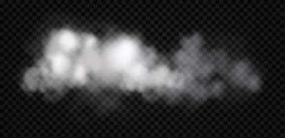A white cloud on a black background vector