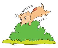 Happy dog playing in the playground vector