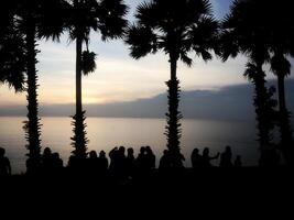 Sunset gathering silhouettes beachfront people peaceful shore wide angle community connection and relaxation photo