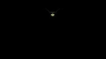 A heart is formed from illuminated particles on a black background video