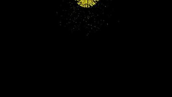 Firework explodes in slow motion video