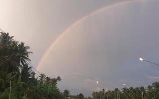 Serene tropical viewpoint vibrant rainbow over tranquil palm trees and colorful evening skies photo
