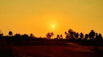 Sunset serenity over tropical landscape beachfront nature photography warm atmosphere wide view tranquil vibes for relaxation photo