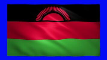 Malawi flag on green screen for chroma key video