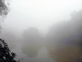 a foggy scene with trees and a pond in the foreground, a foggy lake with trees, village foggy morning photo