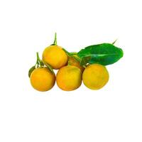 Oranges with leaves on a white surface photo