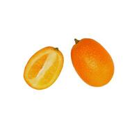 A bunch of oranges. photo